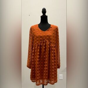 Jasambac Women’s Swiss Dot Dress.